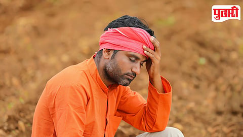 Farmer