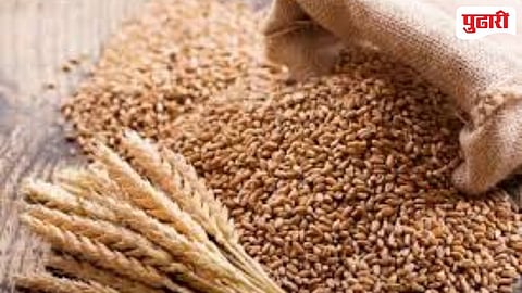 Wheat Cropping