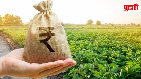 Farmer Loan 