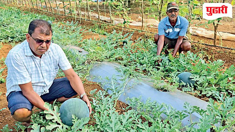 Goa Agriculture Success Story