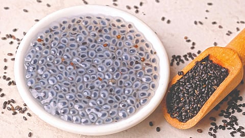 Sabja Seeds