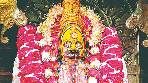 Tuljabhavani temple news: तुळजाभवानी मातेला रंग लावून  पुजाऱ्यांनी साजरा केला रंगोत्सव !