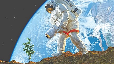 Space Farming