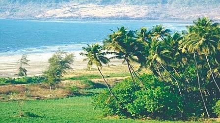 Irrigation Projects