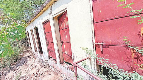 Swachh Bharat survey