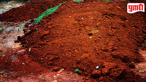 Illegal Soil Mining