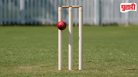 Cricket