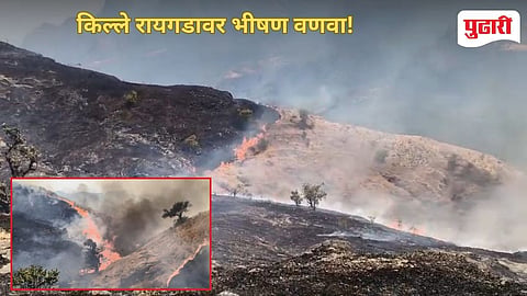 Rigad Fire 