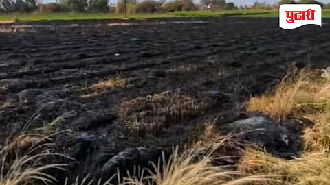 Dhule news | शेतातील वीज लाईनच्या स्पार्किंगमुळे २ एकर गव्हाचे पीक जळून राख