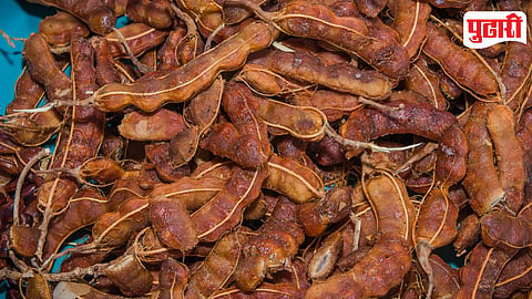 Tamarind