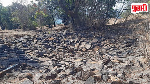 Rajgad Forest Water Crisis