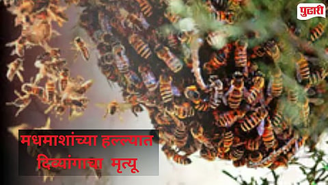 Bee Attack