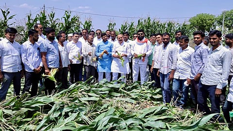 Dhule news
