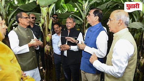 Farming Jain Hills