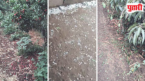 Hailstorm Crop Damage