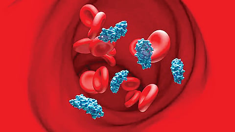 Alzheimer's risk |