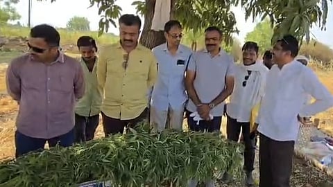 Beed Crime News