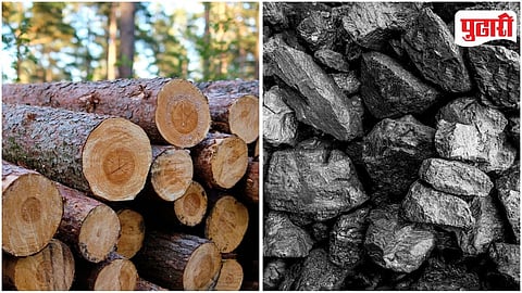 Wood, Coal