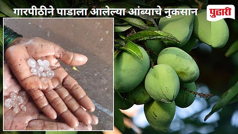 Devgad Unseasonal Rain