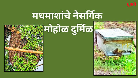sambhajinagar news