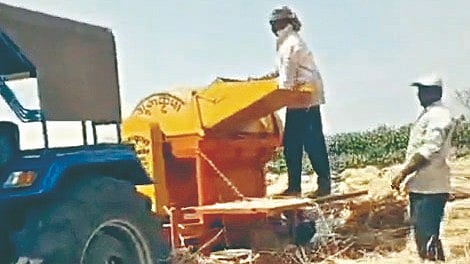 Nipani farming news
