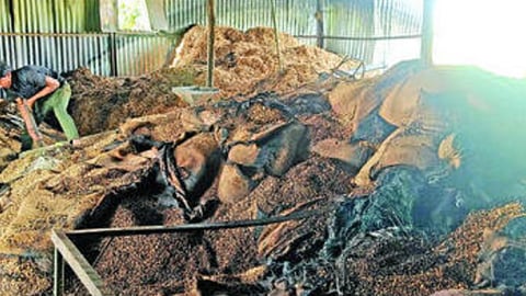 Nilanga fire news