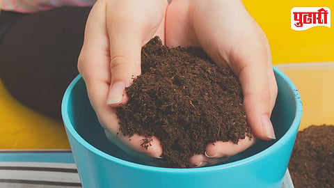 Fertilizer