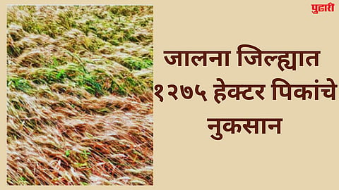 jalna news