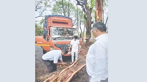 Vitthal Halgekar