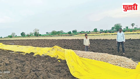 Jamkhed Onion Farmers Crisis