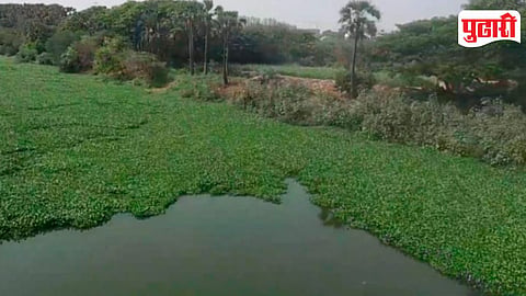 Mula Mutha Pollution