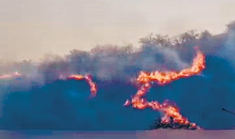 Sangli fire News