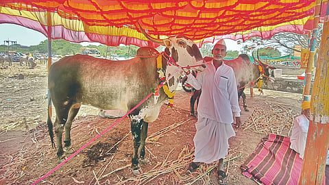 Madgyal Yatra