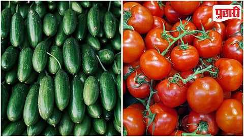 Tomato And Cucumber