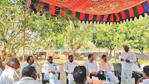 NDCC Bank election