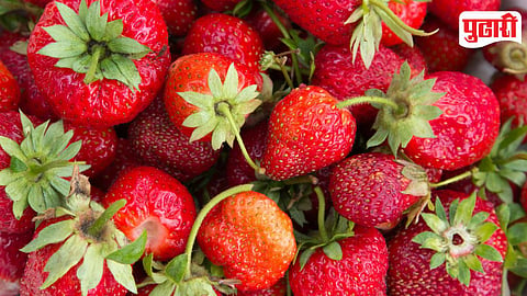 Strawberry