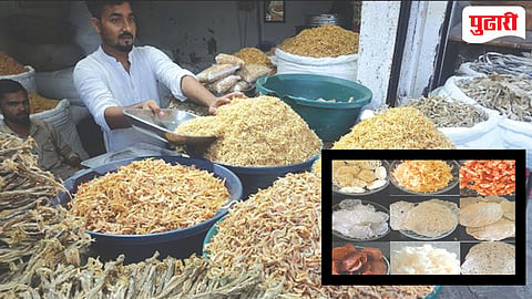 Raigad Dry Fish Demand