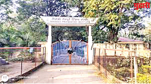 NDA selection