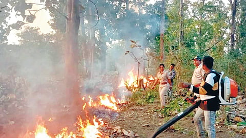 Karnataka wildfire management