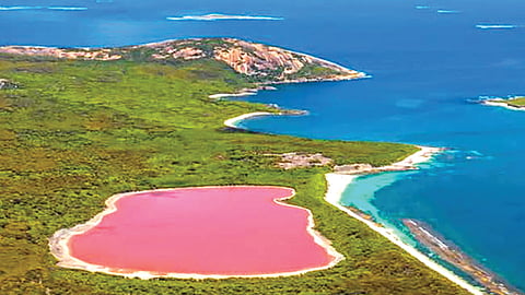 Lake Hillier pink lake | 