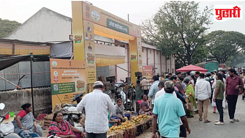 Mango Festival Illegal Vendors