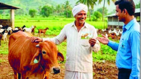Kisan Credit Card loan 