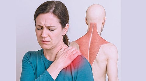 Muscle pain causes | 
