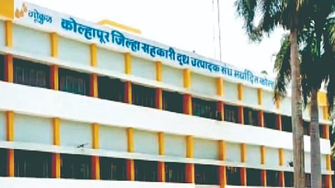 Gokul dairy |
