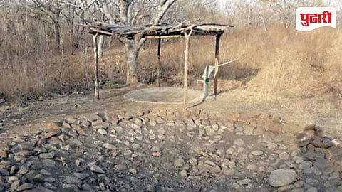Pune Wildlife News