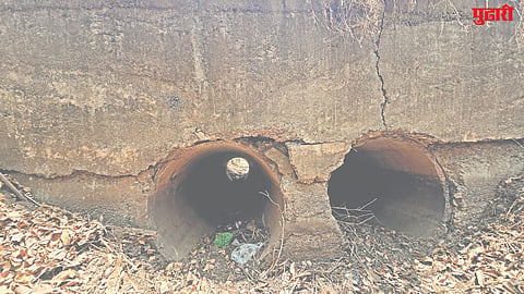 Wandri dam canal safety issue