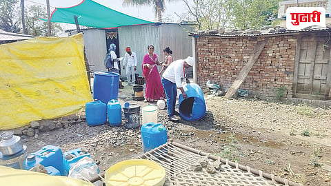 Dengue Cases