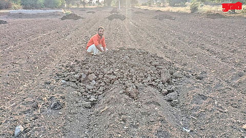 Organic farming demand