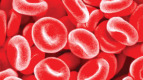 Blood sugar leveal |