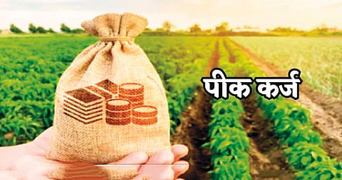 Crop loan increase 